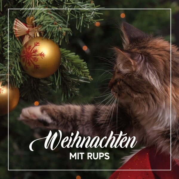 WEIHNACHTEN mit RUPS